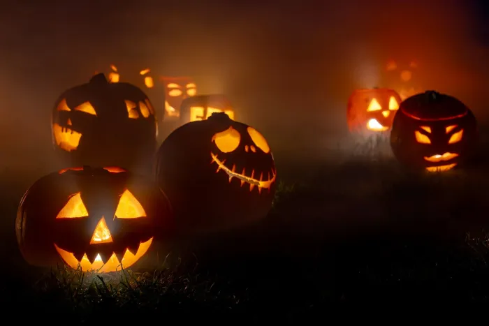 Lien vers l'article L'agenda spécial "Halloween"